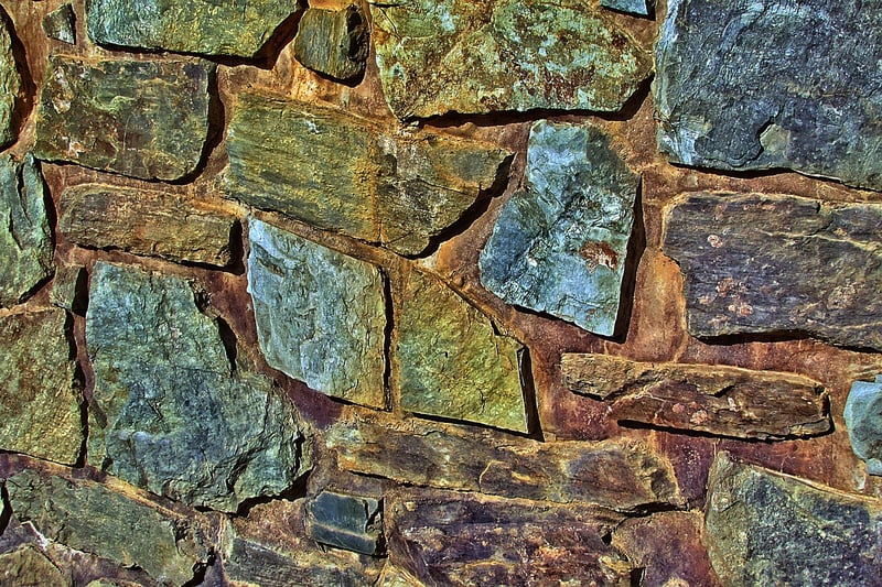 Vertical garden on a wall
